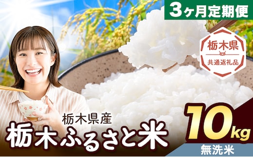 【3ヶ月定期便】米 栃木 ふるさと米 無洗米 10kg (5kg×2袋)《申込月の翌月から出荷開始》栃木県 野木町 米 国産 お米 おこめ お弁当 おにぎり【栃木県共通返礼品】---nogi_local_9_10kg3tei---