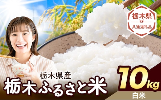 米 栃木 ふるさと米 白米 10kg《1月中旬-2月末頃出荷》栃木県 野木町 米 白米 精米 国産 お米 おこめ お弁当 おにぎり【栃木県共通返礼品】---nogi_local_207_10kg---