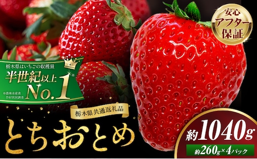 栃木 いちご とちおとめ 4パック 1040g 《1月中旬-5月上旬頃出荷》 栃木県 野木町 いちご イチゴ 苺 とちおとめ 果物 フルーツ ジューシー 【配送不可地域】沖縄・離島---nogi_local_80_1040g---