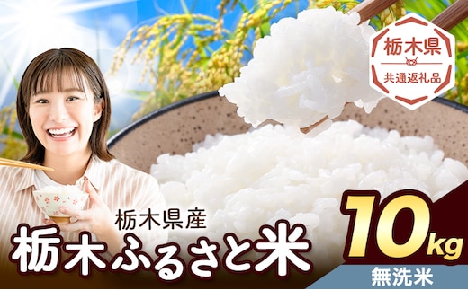 米 栃木 ふるさと米 無洗米 10kg《1月中旬-2月末頃出荷》栃木県 野木町 米 白米 精米 国産 お米 おこめ お弁当 おにぎり【栃木県共通返礼品】---nogi_local_203_10kg---