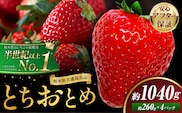 栃木 いちご とちおとめ 4パック 1040g 《1月中旬-5月上旬頃出荷》 栃木県 野木町 いちご イチゴ 苺 とちおとめ 果物 フルーツ ジューシー 【配送不可地域】沖縄・離島---nogi_local_80_1040g---