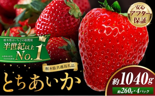 栃木 いちご とちあいか 4パック 1040g 《1月中旬-5月上旬頃出荷》 栃木県 野木町 いちご イチゴ 苺 とちあいか 果物 フルーツ ジューシー 【配送不可地域】沖縄・離島 ---nogi_local_79_1040g---