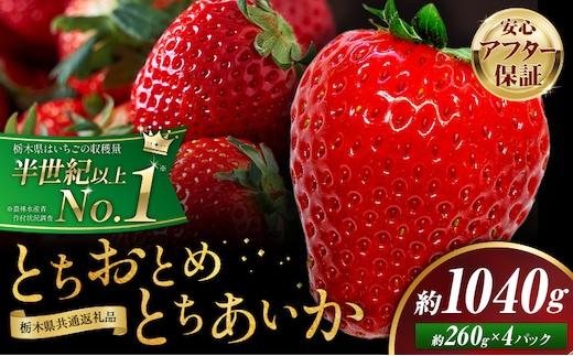 栃木 いちご 食べ比べ とちおとめ とちあいか 4パック 1040g 《1月中旬-5月上旬頃出荷》 栃木県 野木町 いちご イチゴ 苺 とちおとめ とちあいか 食べ比べ 果物 フルーツ ハート型 ジューシー 【配送不可地域】沖縄・離島---nogi_local_81_1040g---