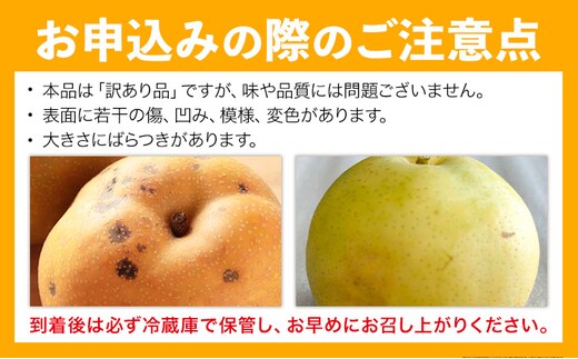 先行予約 訳あり 旬の梨 約4kg 幸水 豊水 あきづき 新高 にっこり《8月
