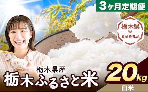 【3ヶ月定期便】米 栃木 ふるさと米 白米 20kg (5kg×4袋)《申込月の翌月から出荷開始》栃木県 野木町 米 国産 お米 おこめ お弁当 おにぎり【栃木県共通返礼品】---nogi_local_45_20kg3tei---