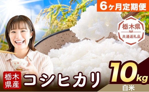 【6ヶ月定期便】米 栃木県産 コシヒカリ 白米 10kg《お申込み翌月から出荷》栃木県 野木町 米 白米 精米 国産 お米 おこめ お弁当 おにぎり【栃木県共通返礼品】---nogi_local_392_10kg_6tei---