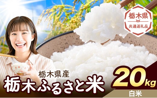 米 栃木 ふるさと米 白米 20kg《1月中旬-2月末頃出荷》栃木県 野木町 米 白米 精米 国産 お米 おこめ お弁当 おにぎり【栃木県共通返礼品】---nogi_local_209_20kg---