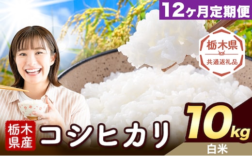 【 12ヶ月定期便】米 栃木県産 コシヒカリ 白米 10kg《お申込み翌月から出荷》栃木県 野木町 米 白米 精米 国産 お米 おこめ お弁当 おにぎり【栃木県共通返礼品】---nogi_local_394_10kg_12tei---