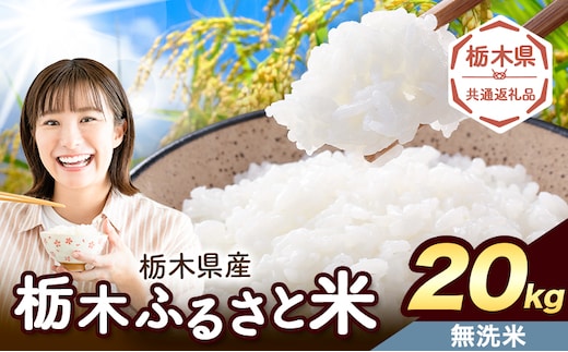 米 栃木 ふるさと米 無洗米 20kg《1月中旬-2月末頃出荷》栃木県 野木町 米 白米 精米 国産 お米 おこめ お弁当 おにぎり【栃木県共通返礼品】---nogi_local_205_20kg---