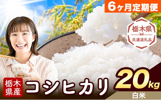 【6ヶ月定期便】米 栃木県産 コシヒカリ 白米 20kg《お申込み翌月から出荷》栃木県 野木町 米 白米 精米 国産 お米 おこめ お弁当 おにぎり【栃木県共通返礼品】---nogi_local_400_20kg_6tei---