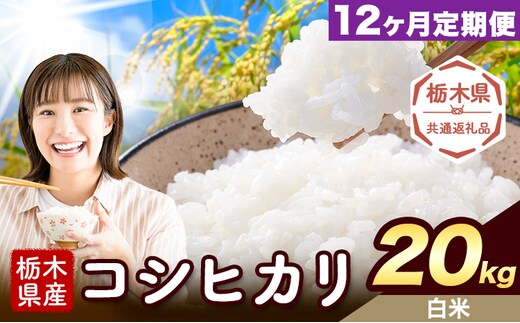 【12ヶ月定期便】米 栃木県産 コシヒカリ 白米 20kg《お申込み翌月から出荷》栃木県 野木町 米 白米 精米 国産 お米 おこめ お弁当 おにぎり【栃木県共通返礼品】---nogi_local_402_20kg_12tei---