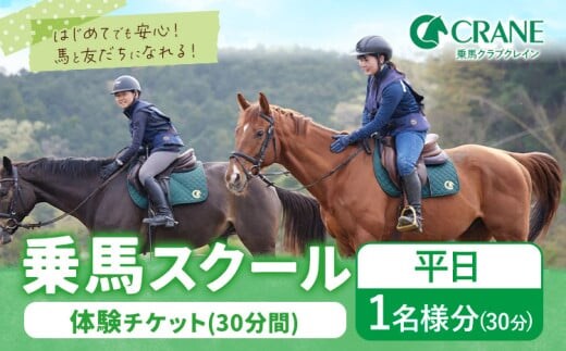 乗馬 スクール 体験 チケット 30分 平日 1名様分 クレイン栃木 《30日以内に出荷予定(土日祝除く)》栃木県 野木町 馬 乗馬体験 チケット 初心者 OK---nogi_krin_1_30min---