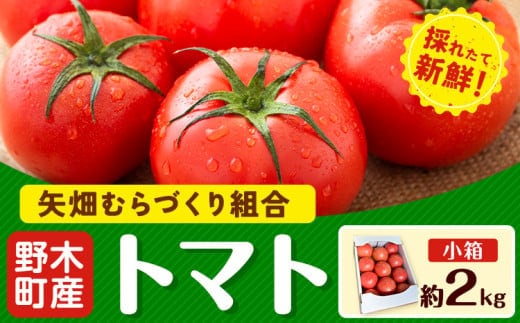 トマト 約2kg 小箱 栃木県 野木町産 矢畑むらづくり組合 《2025年10月上旬-2026年6月下旬頃出荷》栃木県 野木町 トマト 野菜 新鮮---nogi_ybt_1_2kg---