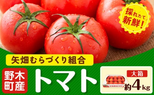 トマト 約4kg 大箱 栃木県 野木町産 矢畑むらづくり組合 《2025年10月上旬-2026年6月下旬頃出荷》栃木県 野木町 トマト 野菜 新鮮---nogi_ybt_2_4kg---