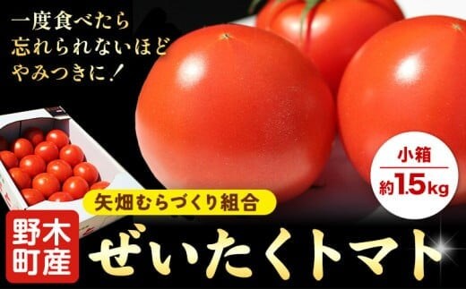 【先行予約】トマト ぜいたくトマト 約1.5kg 小箱 栃木県 野木町産 矢畑むらづくり組合 《2025年10月上旬-2026年5月末頃出荷》栃木県 野木町 トマト 野菜 新鮮---nogi_ybt_9_3kg---