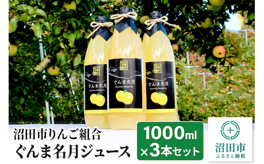 《2026年1月中旬以降発送》沼田市りんご組合 ぐんま名月ジュース（ストレート）1000ml×3本セット