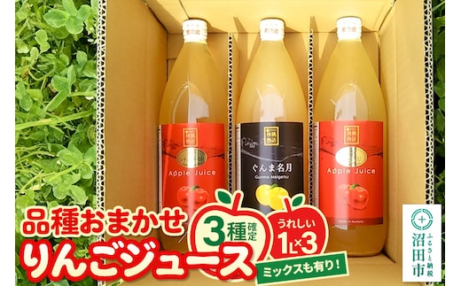 《3種確定》果樹園マンサーナ りんごジュース おまかせ1L×3本セット