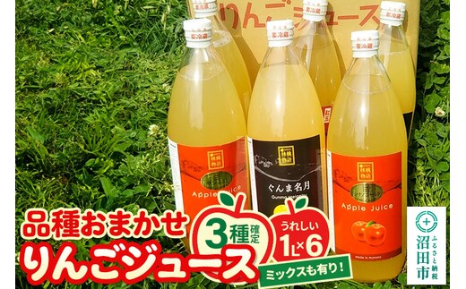 《3種確定》果樹園マンサーナ りんごジュース おまかせ1L×6本セット