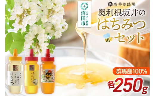 奥利根坂井のはちみつセット（アカシア・百花・キハダ）各250g 坂井養蜂場