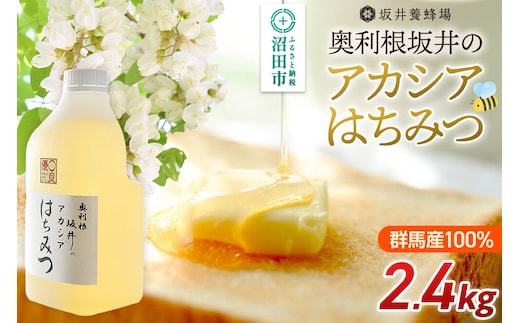 奥利根坂井のアカシアはちみつ 2400g×1本 坂井養蜂場 [蜂蜜 はちみつ ハチミツ 国産 アカシア アカシヤ]