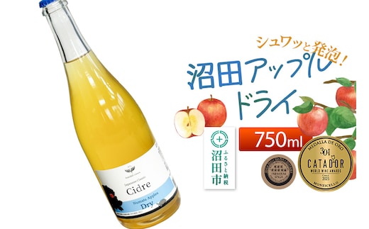 《SISGA部門最高賞ほか受賞》沼田アップルドライ（辛口）750ml×1本 Fukiware Cidrerie