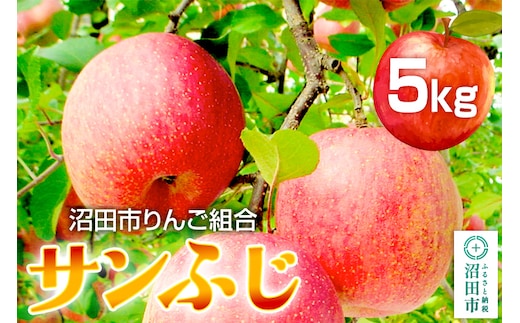 《12月下旬～1月中旬発送》沼田市りんご組合 りんご（サンふじ）約5kg 群馬県沼田市