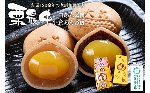 栗最中 2種 計5個 詰め合わせセット（白餡2個、小倉餡3個）大丸屋製菓 [老舗 和菓子 伝統 銘菓 栗 くり クリ 最中 もなか モナカ 餡子 あんこ アンコ 手土産 食べ比べ 味比べ]