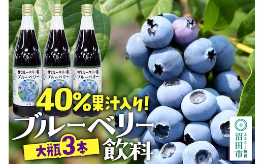 40％果汁入り ブルーベリー飲料 720ml×3本セット