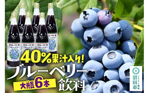 40％果汁入り ブルーベリー飲料 720ml×6本セット