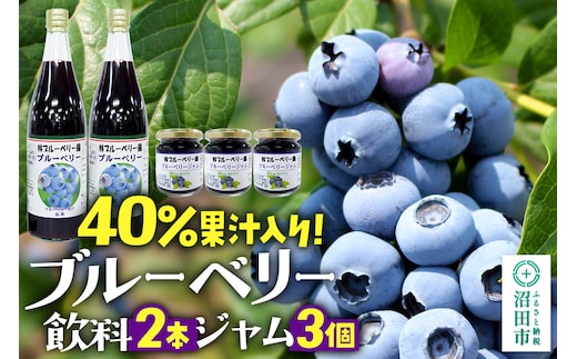 40％果汁入り ブルーベリー飲料2本・ブルーベリージャム3個セット