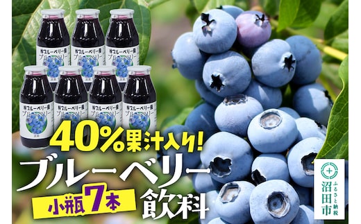 40％果汁入り ブルーベリー飲料 180ml×7本セット
