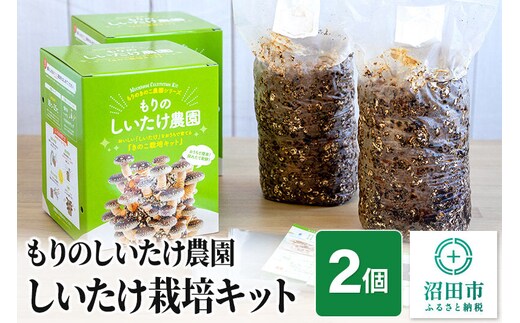 《期間限定10～4月発送》もりのしいたけ農園「しいたけ栽培キット」2個 [椎茸 シイタケ しいたけ 育成 栽培 菌床]