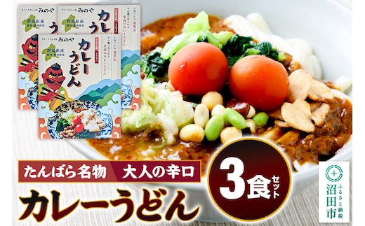 みのや 大人の辛口カレーうどん 3食セット ホットパック冷凍品