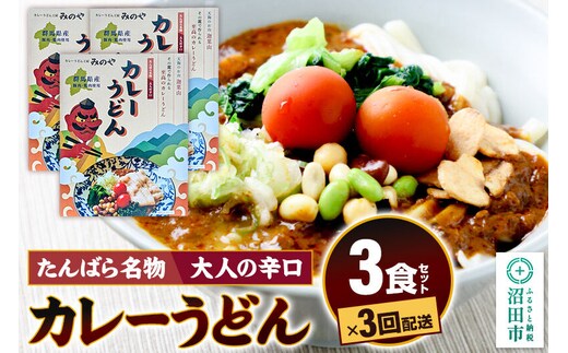 《定期便3回》みのや 大人の辛口カレーうどん 3食セット