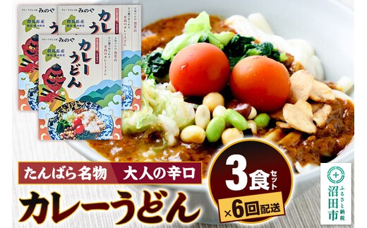 《定期便6回》みのや 大人の辛口カレーうどん 3食セット