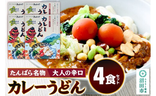 みのや 大人の辛口カレーうどん 4食セット ホットパック冷凍品