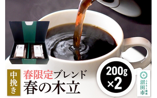 春季限定 ブレンドコーヒー 中挽き「春の木立」200g×2袋