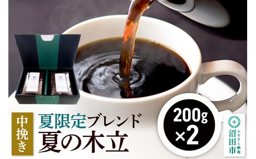 夏季限定 ブレンドコーヒー 中挽き「夏の木立」200g×2袋