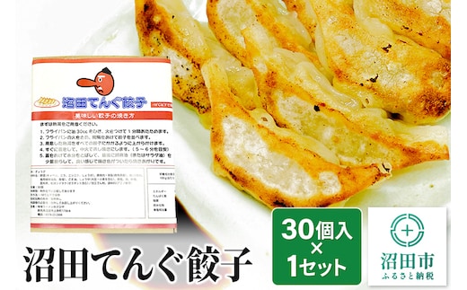 あさひや 沼田てんぐ餃子 30個入×1セット