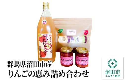 群馬県沼田市産 りんごの恵み詰め合わせ