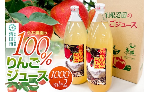 100％リンゴジュース 1000ml×2本 永井農園