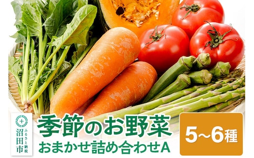 尾瀬市場厳選 季節のお野菜おまかせセット A [【野菜セット】お任せ おまかせ 野菜 やさい ヤサイ 詰め合わせ セット]