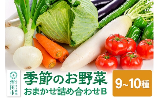 尾瀬市場厳選 季節のお野菜おまかせセット B [【野菜セット】お任せ おまかせ 野菜 やさい ヤサイ 詰め合わせ セット]