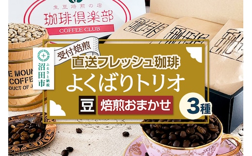 《受付焙煎》直送フレッシュ珈琲 よくばりトリオ【豆／焙煎度合いの指定はできません】各200g×3種 計600g 珈琲倶楽部 沼田店