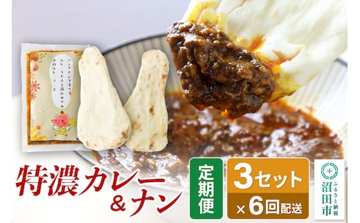 《定期便6回》みのや 特濃カレー＆ナン 3セット
