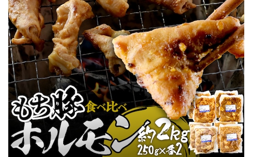 群馬県産もち豚ホルモン 4種の味付け食べ比べセット 約2kg（250g×4種各2）群馬県 特産品