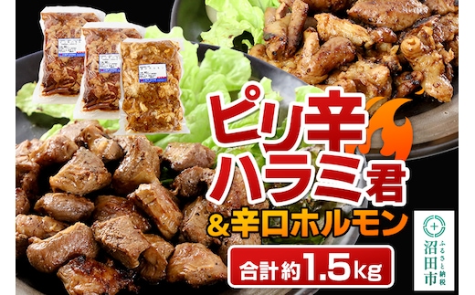 群馬県産ピリ辛ハラミ君＆もち豚辛口ホルモンセット 約1.5kg（500g×2／500g×1）群馬県 特産品