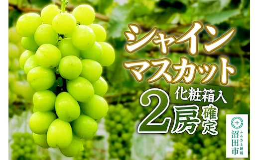 《2026年9月下旬～10月上旬発送》先行予約 果実の里 原田農園 シャインマスカット 2房（約1.4kg～1.6kg）化粧箱入り