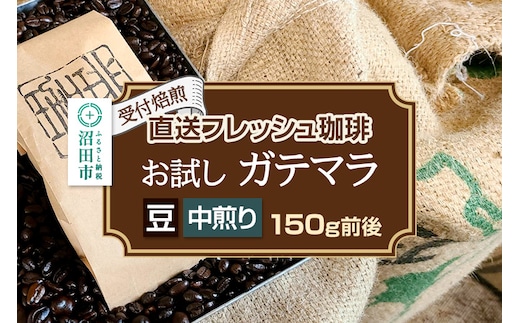 《受付焙煎》直送フレッシュ珈琲 お試し ガテマラ【豆／中煎り】約150g 珈琲倶楽部 沼田店