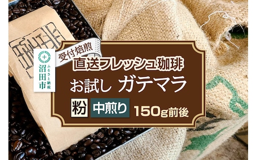 《受付焙煎》直送フレッシュ珈琲 お試し ガテマラ【粉／中煎り】約150g 珈琲倶楽部 沼田店